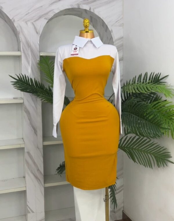 CORPORATE GOWN